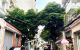 thum-9157311_Md1H8hai2O_1728034300.jpeg