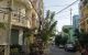 thum-9157387_9kbsWyHmgt_1728092575.jpg