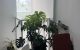 thum-9157529_2NE786TMuG_1728177271.jpg