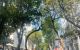 thum-m_5HqkVSeRxE_1728189440.jpg