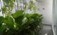 thum-9157823_nkpDb7uIs9_1728355845.jpg
