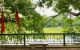 thum-m_7kcrQJPyhH_1728378038.jpg