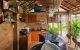 thum-9158161_VMuw81JLN0_1728497557.jpg