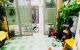 thum-9158257_EwXLpPT0gK_1728545805.jpg
