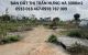 thum-9158281_fN6HQZpaBh_1728549784.jpg