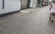 thum-m_Dhd61pJfNv_1728606147.jpg