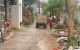 thum-9158546_c6x3rGvIiW_1728699427.jpg