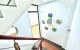 thum-9158919_xyCDO2KuVU_1728920326.jpg