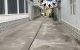 thum-9159008_diIrz82CYu_1728967761.jpg
