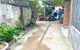 thum-9159097_oX7SY3UkGe_1728984575.jpg