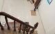 thum-9159948_iQrEjtcAVB_1729425662.jpg