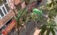 thum-9160174_Mvg1aIPZQ3_1729525332.jpeg