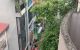 thum-m_Np6boiu4MP_1729574057.jpg