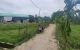 thum-m_xXoP0T5AnL_1729655531.jpg