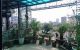 thum-9160927_OCmjc3Srs7_1729850633.jpg