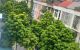 thum-9160953_IDcEO8Vljo_1729866455.jpg
