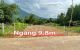 thum-9161294_rsiF2USgaz_1730086936.jpg