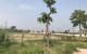 thum-9161387_fQk9zHDB12_1730104636.jpg