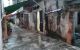 thum-9161480_baSnxgjYV6_1730130460.jpg