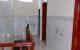 thum-9161529_nXLvUqDjW7_1730173366.jpg