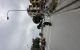 thum-9161720_JSA6OKClWt_1730258758.jpg