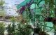 thum-9161798_kI9qEJ0nX5_1730275189.jpg
