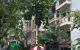 thum-9161813_DxGiCzVb6e_1730278619.jpg