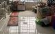 thum-9162195_itXF2uk9O6_1730466795.JPG