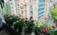 thum-m_K0iPMkuObj_1730443678.jpg