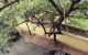 thum-9162396_qMyelL8sSK_1730556485.jpg
