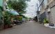 thum-9162417_DKh72Vbti4_1730562413.jpg