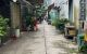 thum-9162433_Lal3N4hSg6_1730575262.jpg