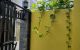 thum-9162794_aOfEgcCKJB_1730775375.jpg