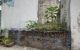 thum-m_rh78uWPXRS_1730811636.jpg