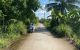 thum-9163192_C0pwQVjYeD_1730902830.jpg