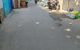 thum-9163363_hOlyRa2T6u_1730969347.JPG