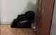 thum-9163716_Y6hcjfk2Be_1731121247.jpg