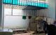thum-9163831_Ji4FNZ0927_1731168179.jpg