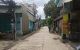 thum-9163940_Bf1pXQA2bt_1731253548.jpg