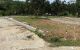 thum-9164029_FbLUEG2mWM_1731308370.jpg