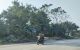 thum-9164108_3ftLoDqpPz_1731336221.jpg