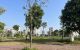 thum-9164114_efWVn1i7Zh_1731338038.jpg