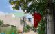 thum-m_Ky8edgExGH_1731331083.jpg