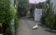 thum-m_RByEWeKOQk_1731330450.jpg
