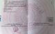 thum-9164267_KEHjo350mY_1731400099.jpg