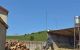 thum-9164278_NXwVxhMRP2_1731401154.jpg