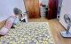 thum-9164634_ZrLaFV85cs_1731553242.jpg