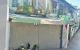 thum-m_Dnwe7S9TLh_1731560287.jpg