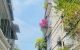 thum-m_Frhpkb5flW_1731763877.jpg