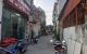 thum-9165302_w6yL30F4k5_1731908659.jpg
